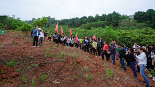省人生就是博集团开展龙泉山城市森林公园 “包山头”植树活动