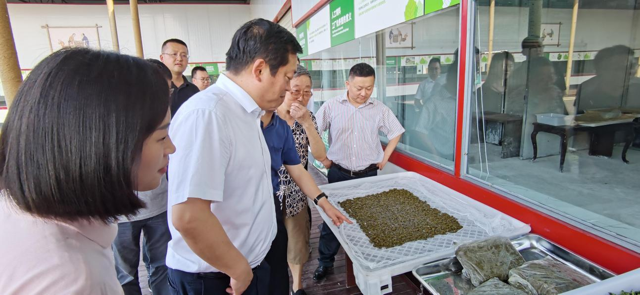 省人生就是博集团党委副书记、董事陈日赴嘉陵区调研茶桑产业发展情况