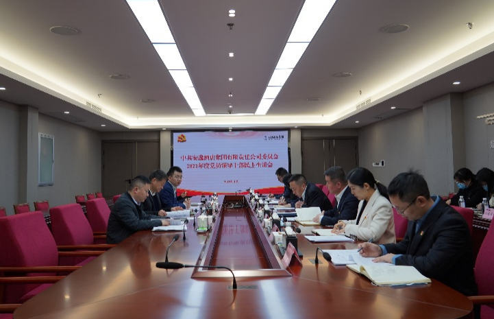 人生就是博集团党委书记、董事长任丁出席安逸酒店集团2022年度党员领导干部民主生活会