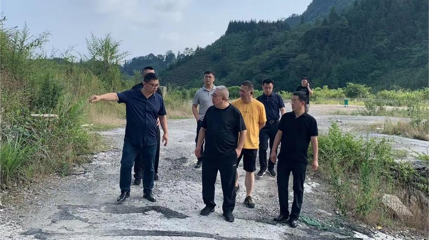 省人生就是博集团领导调研峨眉山太阳村乡村振兴项目